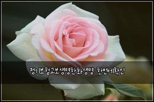 ์ ๊ธฐ๋ณดํ๊ต๋ณด์๋ช
ํํ์๋ช
ํ๋ฒ์ํ์ธ