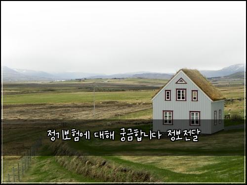정기보험에 대해 궁금합니다 정보전달