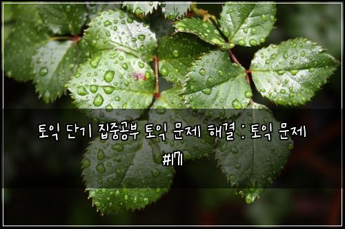 토익 단기 집중공부 토익 문제 해결 : 토익 문제 #171