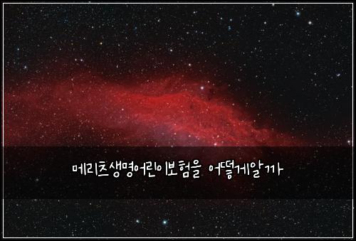 메리츠생명어린이보험을 어떻게알까