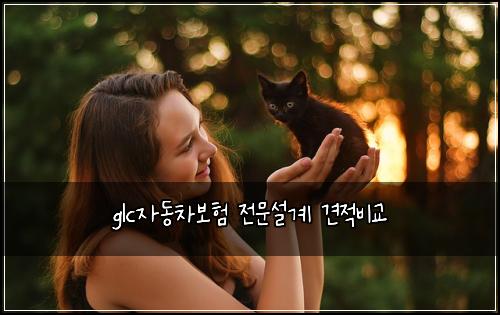 glc자동차보험 전문설계  견적비교