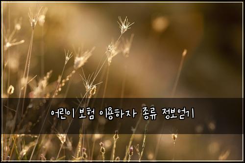 어린이 보험 이용하자  종류 정보얻기