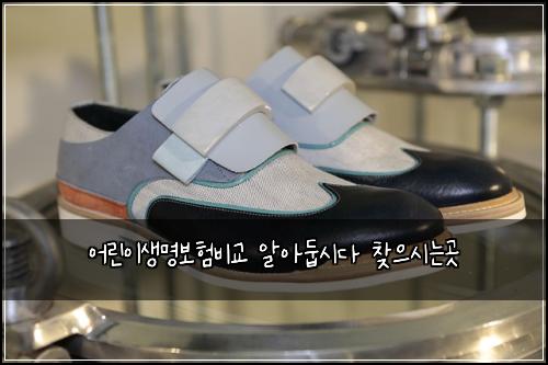 어린이생명보험비교 알아둡시다 찾으시는곳