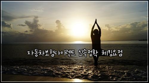 자동차보험다이렉트 신속정확 체킹요점