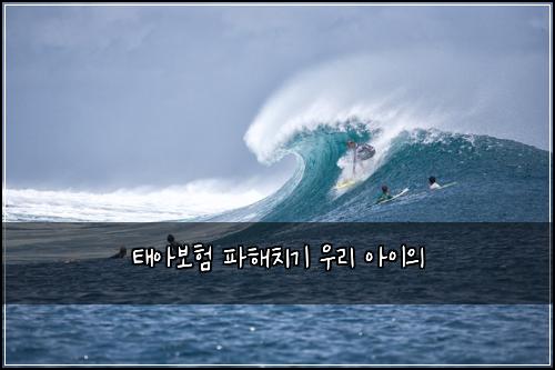 태아보험 파해치기  우리 아이의