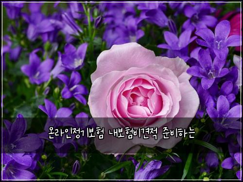 온라인정기보험 내보험비견적 준비하는