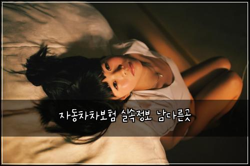 자동차차보험 실속정보  남다른곳