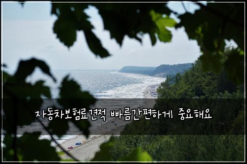 ์๋์ฐจ๋ณดํ๋ฃ๊ฒฌ์ ๋น ๋ฆ๊ฐํธํ๊ฒ ์ค์ํด์