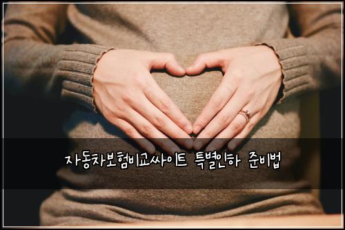자동차보험비교싸이트 특별인하 준비법