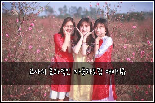 ๊ต์ฌ์ ํจ๊ณผ์ ์ธ ์๋์ฐจ๋ณดํ ๋๋น์ด์