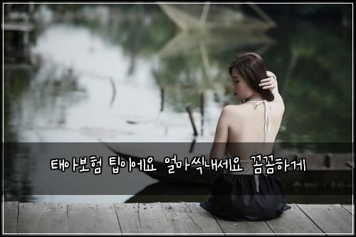 태아보험 팁이에요  얼마씩내세요 꼼꼼하게