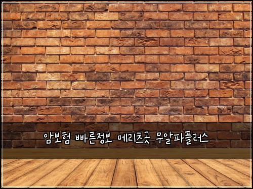 μ보ν λΉ λ₯Έμ 보 λ©λ¦¬μΈ κ³³ 무μννλ¬μ€