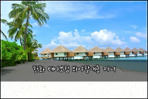 한화 태아보험 봐야할내용  자녀