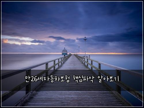 ๋ง26์ธ์๋์ฐจ๋ณดํ ํต์ฌํ์
์์๋ณด๊ธฐ