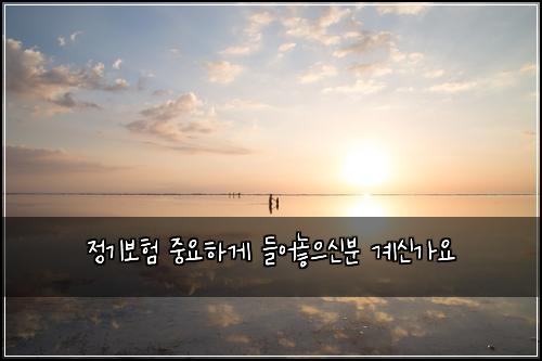 정기보험 중요하게  들어놓으신분 계신가요