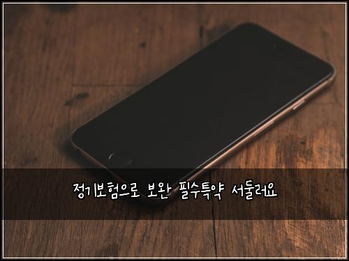 정기보험으로 보완 필수특약 서둘러요