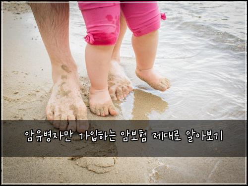 암유병자만 가입하는 암보험 제대로 알아보기