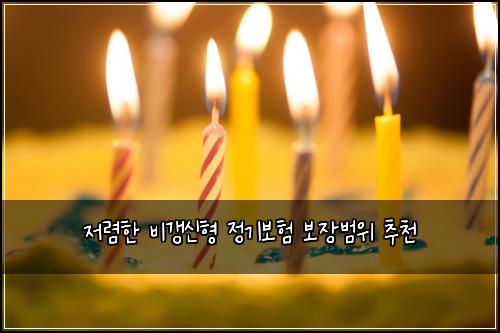 저렴한 비갱신형 정기보험 보장범위  추천