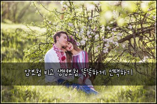 암보험 비교 생명보험 똑똑하게 선택하기