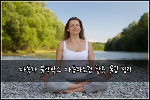 자동차 블랙박스 자동차보험 활용 꿀팁 정리