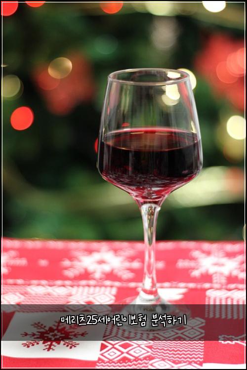 ๋ฉ๋ฆฌ์ธ 25์ธ์ด๋ฆฐ์ด๋ณดํ ๋ถ์ํ๊ธฐ