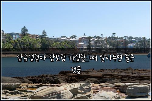 암유경험자 암보험 가입할 때 알아두면 좋은 것들