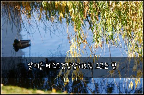 살펴볼 베스트건강상해보험 고르는 팁