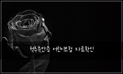 척추측만증 어린이보험 자료확인 