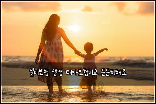 실비보험 생명 태아보험비교 든든히해요