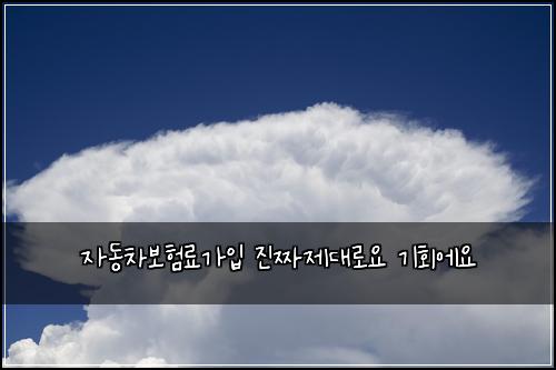 자동차보험료가입 진짜제대로요 기회에요