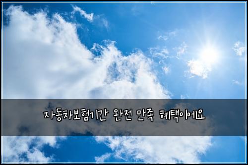 ์๋์ฐจ๋ณดํ๊ธฐ๊ฐ ์์ ๋ง์กฑ ํํ์ด์์