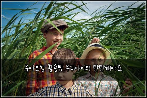 유아보험 활용팁  우리아이의 탄탄해야죠
