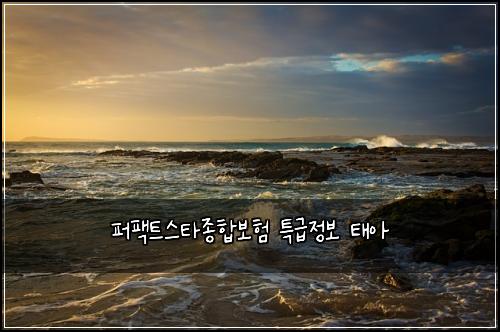 퍼팩트스타종합보험 특급정보  태아