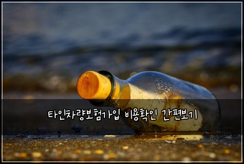 타인차량보험가입 비용확인 간편보기