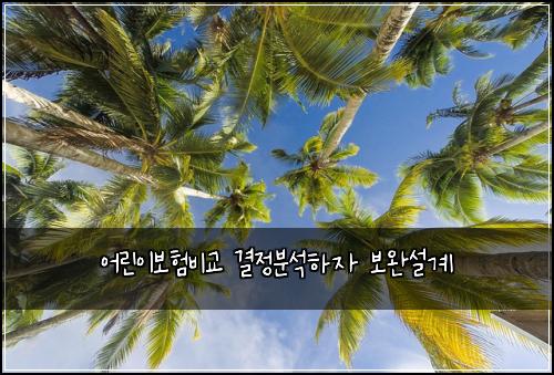 어린이보험비교 결정분석하자 보완설계