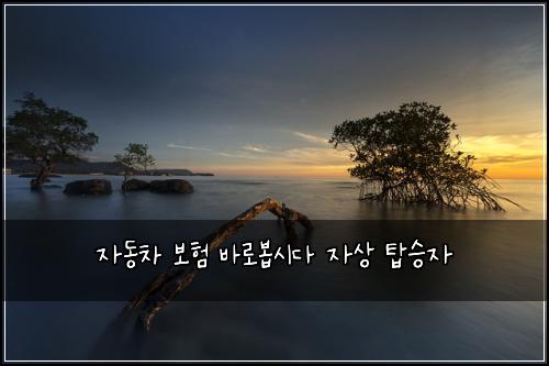 자동차 보험 바로봅시다  자상 탑승자