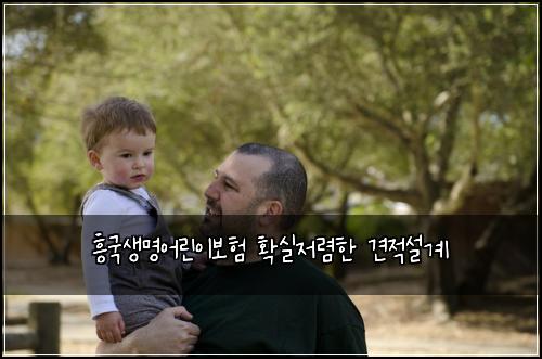 흥국생명어린이보험 확실저렴한  견적설계