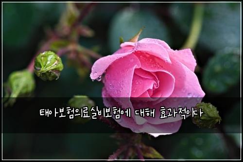 태아보험의료실비보험에 대해 효과적이다
