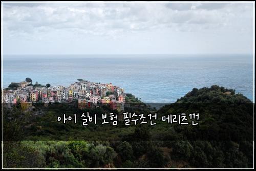 아이 실비 보험 필수조건  메리츠껀