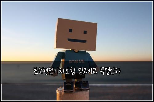 초소형전기차보험 믿고비교  특별인하