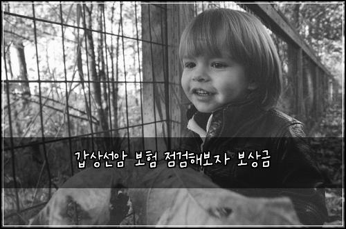 갑상선암 보험 점검해보자  보상금