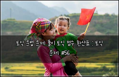 토익 문법 문제 풀이 토익 점수 환산표 : 토익 문제 #56