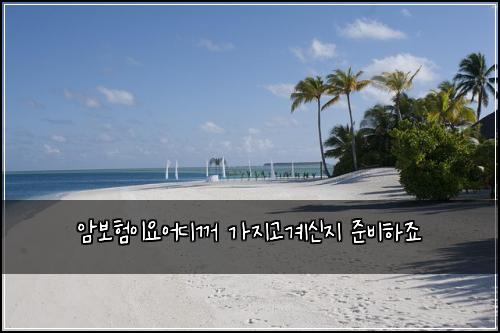 암보험이요어디꺼 가지고계신지 준비하죠