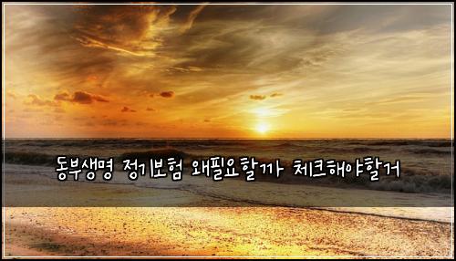 동부생명 정기보험 왜필요할까  체크해야할거
