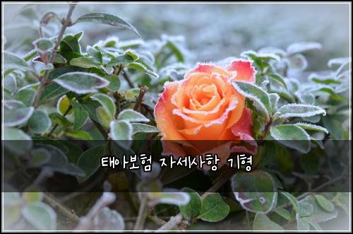 ํ์๋ณดํ ์์ธ์ฌํญ ๊ธฐํ