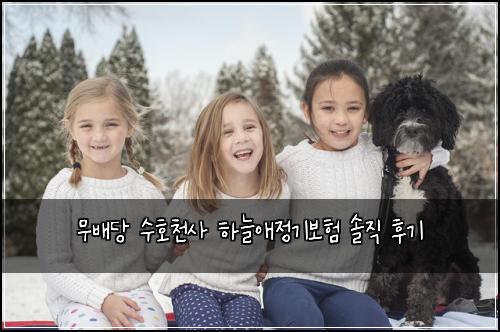 무배당 수호천사 하늘애정기보험 솔직 후기