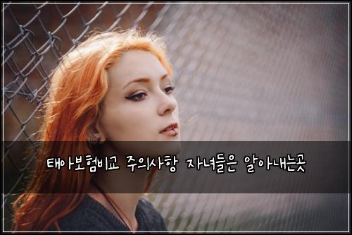 태아보험비교 주의사항 자녀들은 알아내는곳