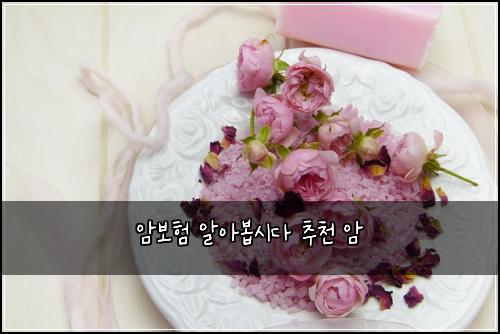 ์๋ณดํ ์์๋ด
์๋ค ์ถ์ฒ ์