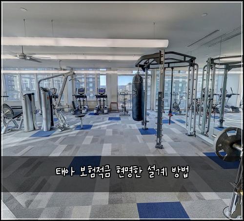 태아 보험적금 현명한 설계 방법