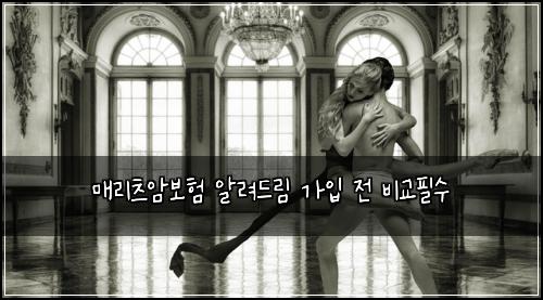 매리츠암보험 알려드림  가입 전 비교필수